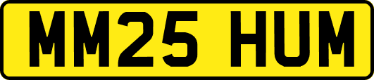 MM25HUM