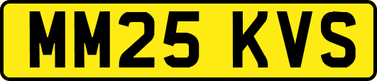 MM25KVS