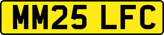 MM25LFC