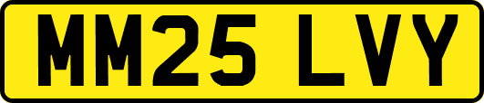 MM25LVY