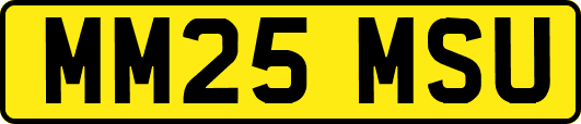 MM25MSU