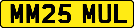 MM25MUL