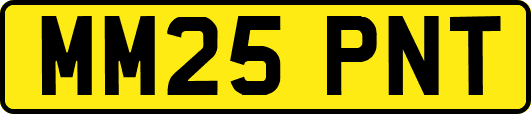MM25PNT
