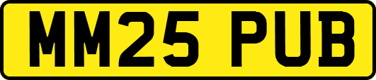 MM25PUB