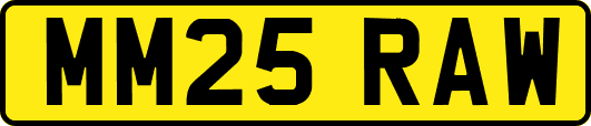 MM25RAW