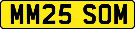 MM25SOM