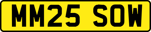 MM25SOW