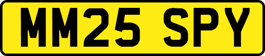 MM25SPY
