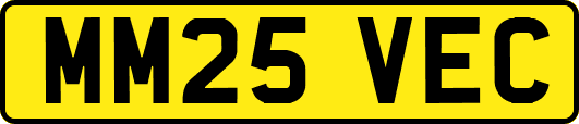 MM25VEC