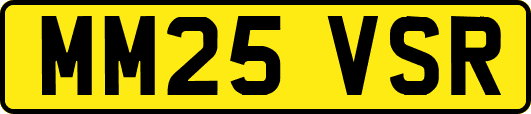 MM25VSR