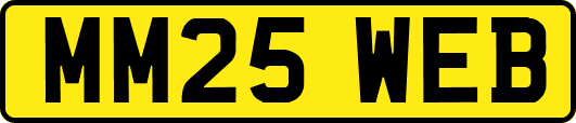 MM25WEB