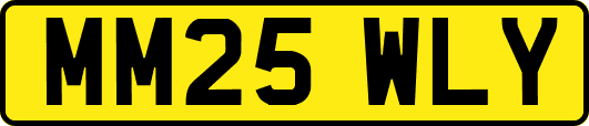 MM25WLY