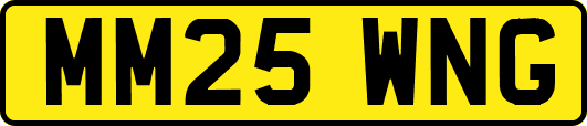 MM25WNG