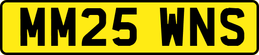 MM25WNS