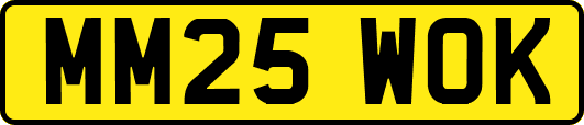 MM25WOK