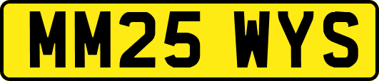 MM25WYS