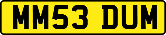 MM53DUM