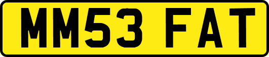 MM53FAT
