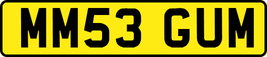MM53GUM