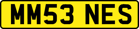 MM53NES