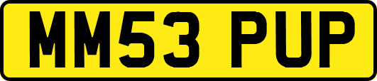 MM53PUP