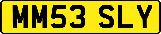 MM53SLY