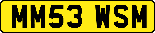 MM53WSM