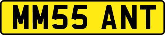 MM55ANT
