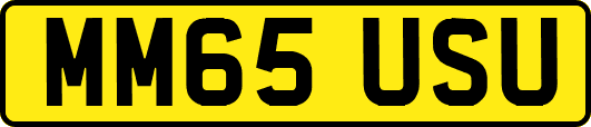 MM65USU