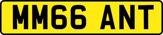 MM66ANT