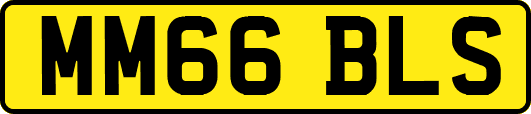 MM66BLS
