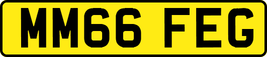 MM66FEG
