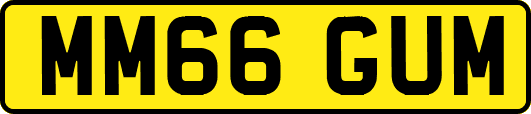 MM66GUM