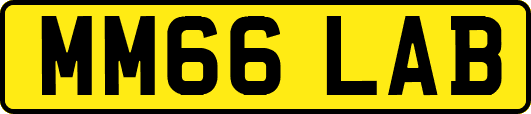 MM66LAB