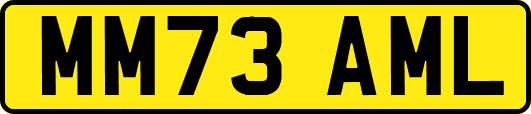 MM73AML
