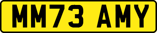 MM73AMY