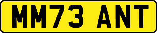 MM73ANT