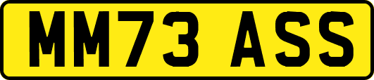 MM73ASS