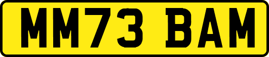 MM73BAM