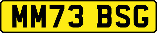 MM73BSG
