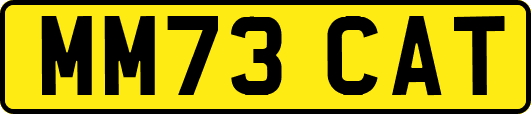 MM73CAT