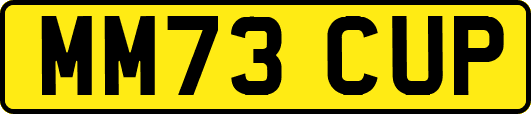 MM73CUP