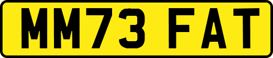 MM73FAT