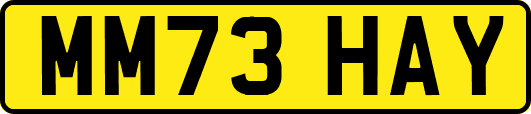 MM73HAY