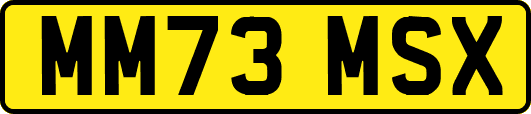 MM73MSX