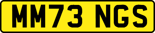 MM73NGS
