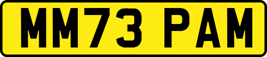 MM73PAM