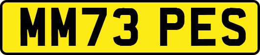 MM73PES