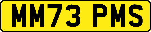 MM73PMS