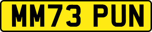 MM73PUN